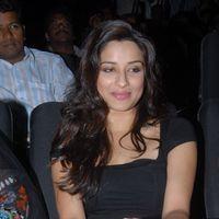 Madhurima Stills at Vennela One and Half Movie Audio Launch | Picture 162566