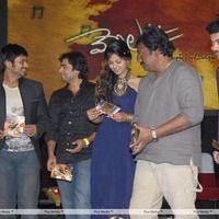 Vennela One and Half Movie Audio Release Pictures | Picture 162389