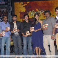 Vennela One and Half Movie Audio Release Pictures | Picture 162392