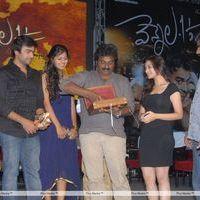 Vennela One and Half Movie Audio Release Pictures | Picture 162398