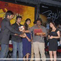 Vennela One and Half Movie Audio Release Pictures | Picture 162420