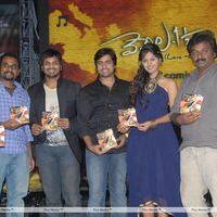 Vennela One and Half Movie Audio Release Pictures | Picture 162455