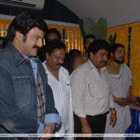 Kalki Movie Opening Pictures | Picture 162839