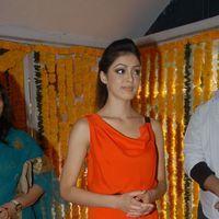 Parvathi Melton Stills at Kalki Movie Launch | Picture 163475