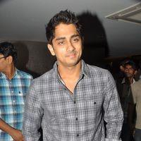Siddharth at the audio people store - Pictures | Picture 164023