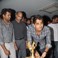 Siddharth at the audio people store - Pictures | Picture 164095