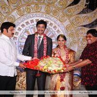 Aryan Rajesh Wedding Reception Photos | Picture 164864