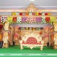Aryan Rajesh Wedding Reception Photos | Picture 164951