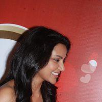 Priya Anand Celebrates Valentines Day Pictures | Picture 165061