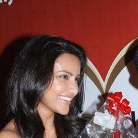 Priya Anand Celebrates Valentines Day Pictures | Picture 165062