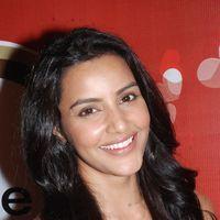 Priya Anand Celebrates Valentines Day Pictures | Picture 165066