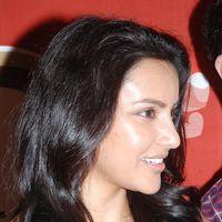 Priya Anand Celebrates Valentines Day Pictures | Picture 165070