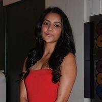 Priya Anand Celebrates Valentines Day Pictures | Picture 165071