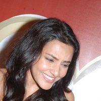 Priya Anand Celebrates Valentines Day Pictures | Picture 165074