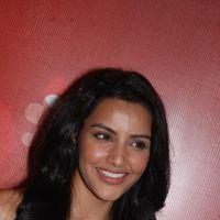 Priya Anand Celebrates Valentines Day Pictures | Picture 165076