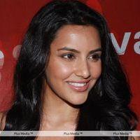 Priya Anand Celebrates Valentines Day Pictures | Picture 165081