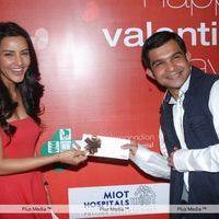 Priya Anand Celebrates Valentines Day Pictures | Picture 165082