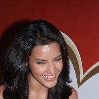 Priya Anand Celebrates Valentines Day Pictures | Picture 165084
