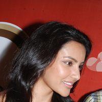 Priya Anand Celebrates Valentines Day Pictures | Picture 165089