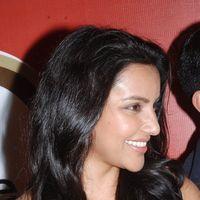 Priya Anand Celebrates Valentines Day Pictures | Picture 165091