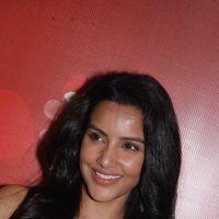 Priya Anand Celebrates Valentines Day Pictures | Picture 165095