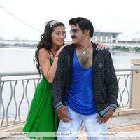 NBK's exclusive Adhinayakudu movie stills