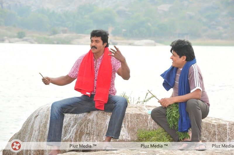 Sunil's Poola Rangadu Movie Stills | Picture 168128