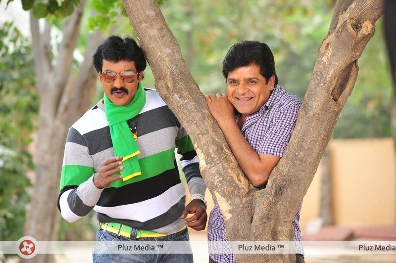 Sunil's Poola Rangadu Movie Stills | Picture 168137