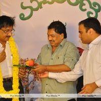 Manyam Rani Book Release - Pictures