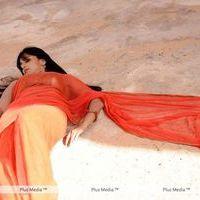 Anushka Shetty Hot Stills | Picture 146662