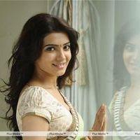 Samantha in Sari Stills | Picture 147863