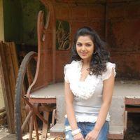 Actress Priyanka Tiwari Stills | Picture 148607