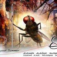 Eega Movie First look - Posters | Picture 150309