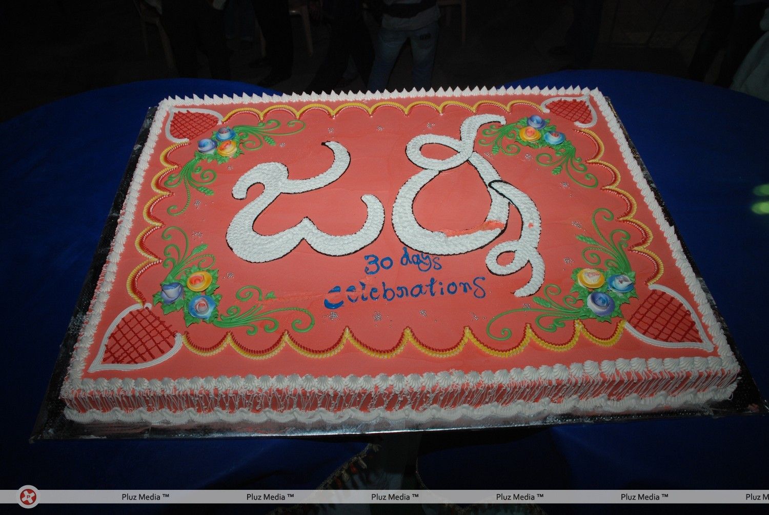 Journey 30 days celebrations pictures | Picture 150337
