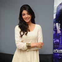 Kajal Agarwal at Businessman Success Meet - Pictures | Picture 150802