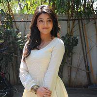 Kajal Agarwal at Businessman Success Meet - Pictures | Picture 150812