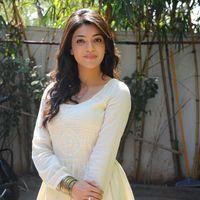 Kajal Agarwal at Businessman Success Meet - Pictures | Picture 150815