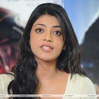 Kajal Agarwal at Businessman Success Meet - Pictures | Picture 150869