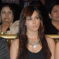 Sana Khan at Mr Nokia Audio Launch - Pictures | Picture 151973