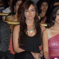 Sana Khan at Mr Nokia Audio Launch - Pictures | Picture 151976
