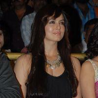 Sana Khan at Mr Nokia Audio Launch - Pictures | Picture 151977