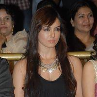Sana Khan at Mr Nokia Audio Launch - Pictures | Picture 151986
