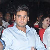 Mahesh Babu - SMS Audio Release - Pictures | Picture 153978
