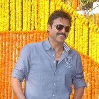 Venkatesh - Shadow Movie Opening - Pictures | Picture 155632