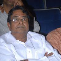 Rushi Audio Release - Pictures | Picture 158297