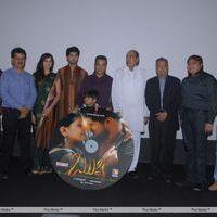 Rushi Audio Release - Pictures | Picture 158415