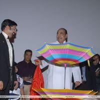 Rushi Audio Release - Pictures | Picture 158416
