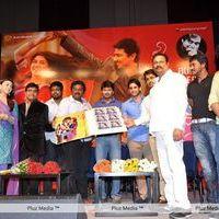 Ok Ok Telugu Movie Audio Release Pictures | Picture 227997
