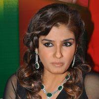 Raveena Tandon Hot at Art Jewellery Event Pictures | Picture 234052