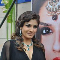 Raveena Tandon Hot at Art Jewellery Event Pictures | Picture 234057